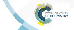 rsc-logo-2019-cerrato-award.png